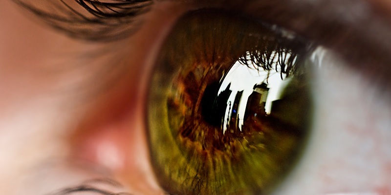 Auge-WEB_800