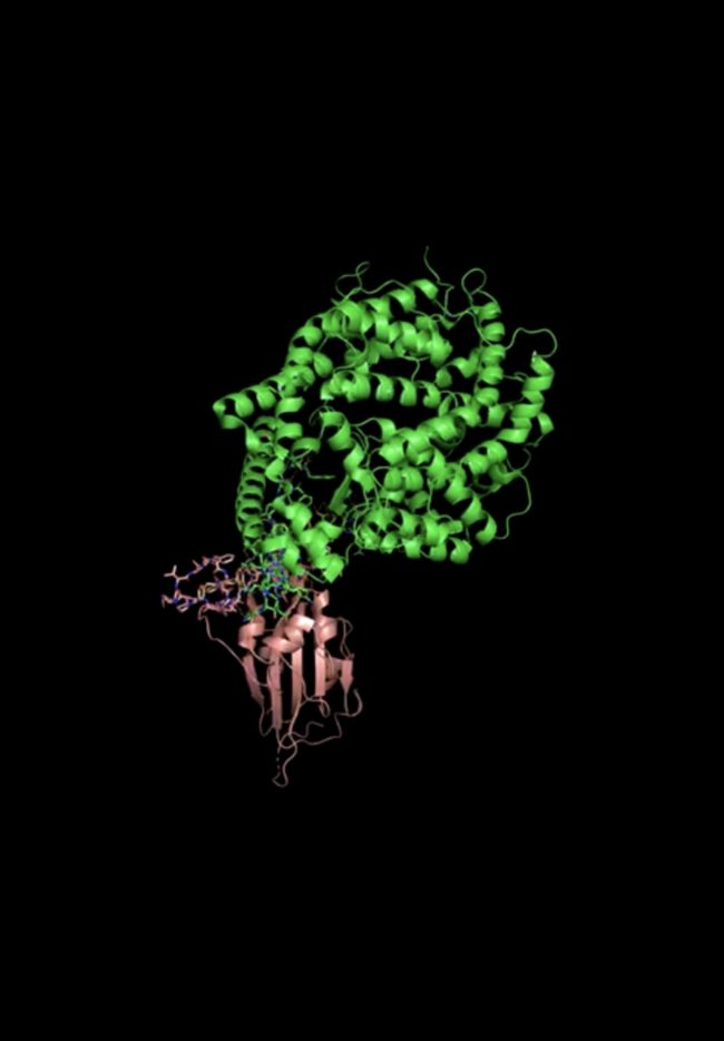 SpikeProteinIpad