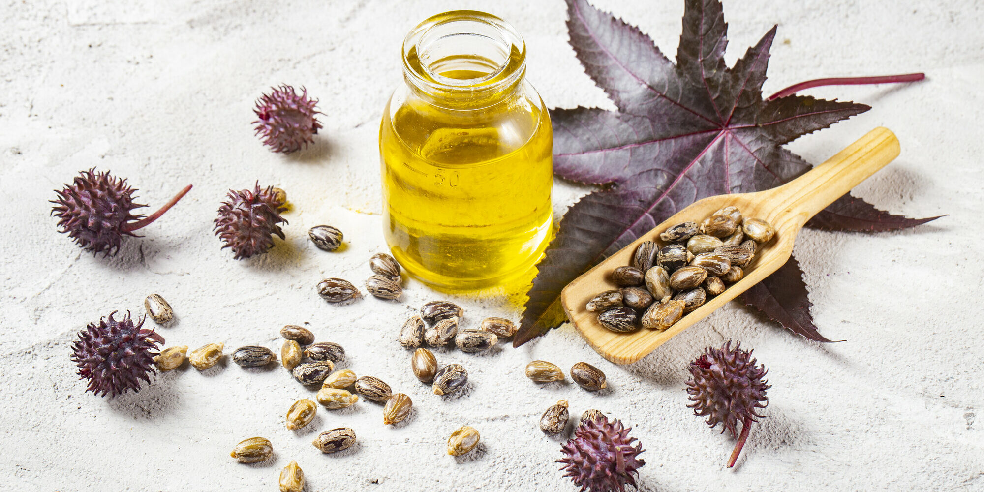 rizinusoel.jpg Flasche mit gelbem Öl, umgeben von Rizinus-Samen und lila Rizinusblättern auf einer hellen Oberfläche.