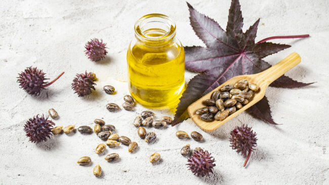 Flasche mit gelbem Öl, umgeben von Rizinus-Samen und lila Rizinusblättern auf einer hellen Oberfläche.