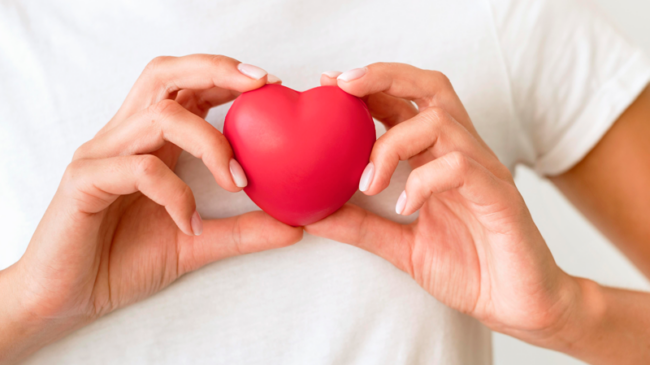 Eine Person hält ein rotes Herzen in beiden Händen vor einem hellen Hintergrund.