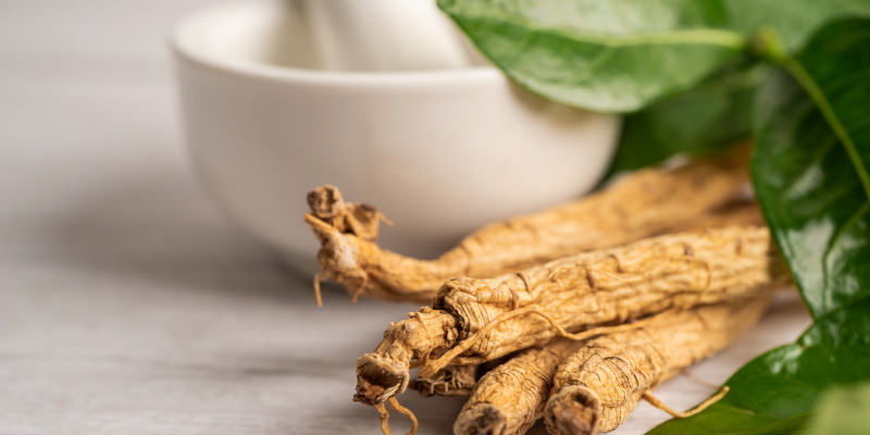Adaptogene-ginseng.png Drei getrocknete Wurzeln liegen auf einem Tisch mit einem Mörser und frischen Blättern im Hintergrund.