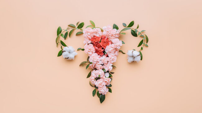 vaginaleGesundheit.jpeg Ein florales Arrangement in Herzform aus rosa Blumen und Baumwollblüten auf einem pfirsichfarbenen Hintergrund.